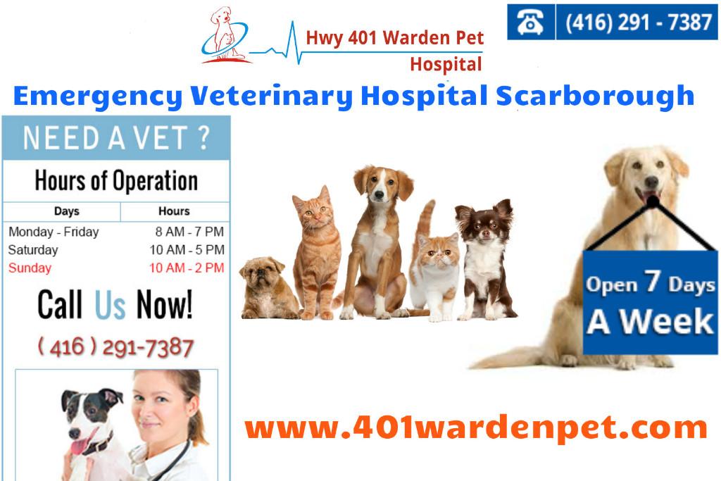 Emergency-Veterinary-Hospital-Scarborough-401-Warden-Pet_1.jpg