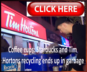 Coffee-cups-Starbucks-and-Tim-Hortons-recycling-ends-up-in-garbage.jpg