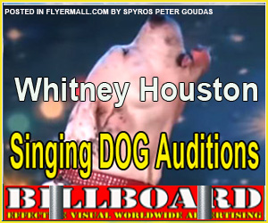 Singing-DOG-Auditions.jpg