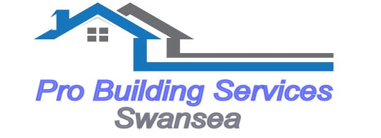Pro_Building_Services_Swansea.png