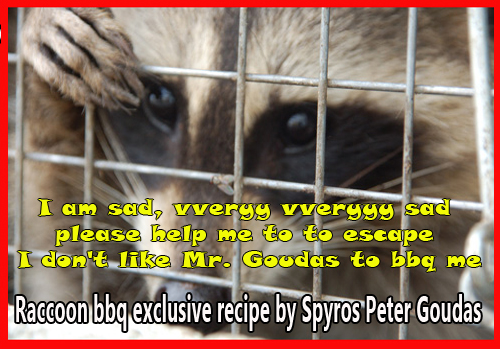 Raccoon-bbq-exclusive-recipe-by-Spyros-Peter-Goudas_(2).jpg
