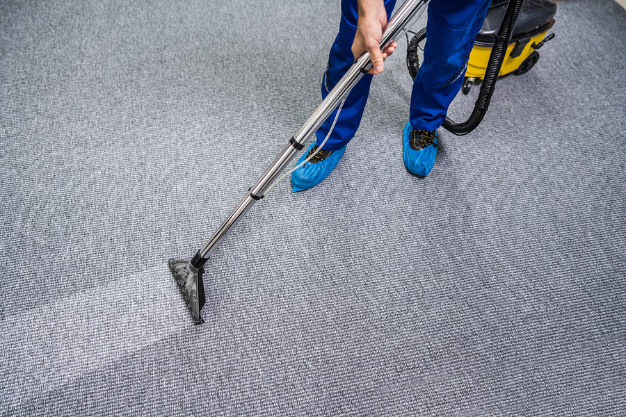 delaware-county-carpet-cleaning-services.jpg