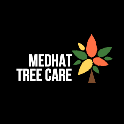 MedHat_Tree_Care.png