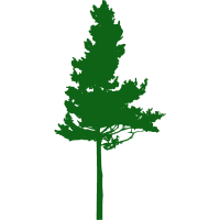 abbotsford-tree-services-logo-green.png