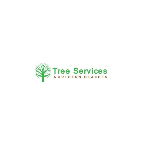 Tree_Services_Northern_Beaches_Big.png