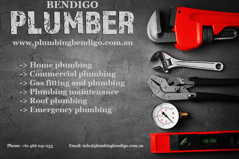 Bendigo-plumbing-contacts-and-services-infographic.jpg