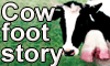 THE COW FOOT STORY