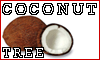 COCONUT TREE