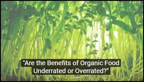 Are-the-Benefits-of-Organic-Food-Underrated-or-Overrated posted in FlyerMall