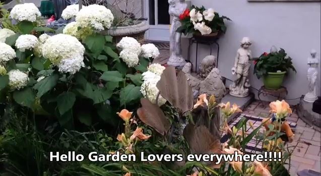 THE BEST GARDEN IN THE WORLD FILMED BY SPYROS PETER GOUDAS