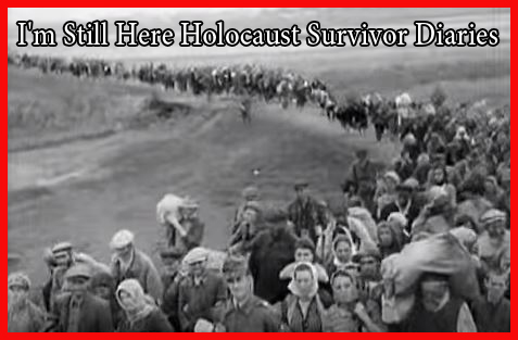 I'm Still Here Holocaust Survivor Diaries