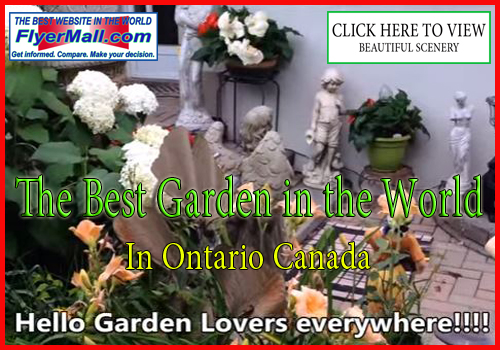 The Best Garden in the World  In Toronto Ontario Canada POSTED IN FLYERMALL.COM BY SPYROS PETER GOUDAS