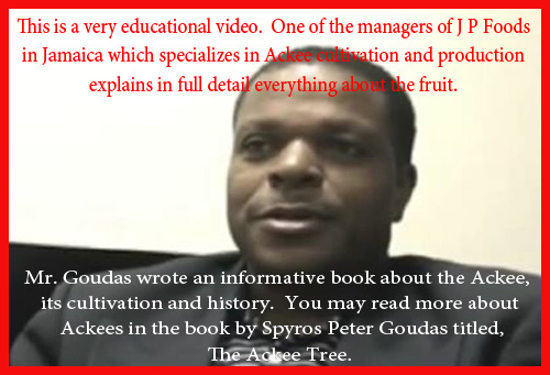 This is a very educational video.  One of the managers of J P Foods in Jamaica which specializes in Ackee cultivation and production explains in full detail everything about the fruit.  It is an opportunity for any one who wants to know about this particular fruit.  Mr. Goudas wrote an informative book about the Ackee, its cultivation and history.  You may read more about Ackees in the book by Spyros Peter Goudas titled, The Ackee Tree.