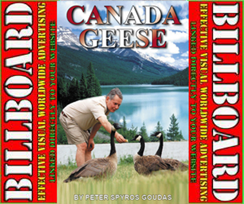CANADA GEESE BOOK