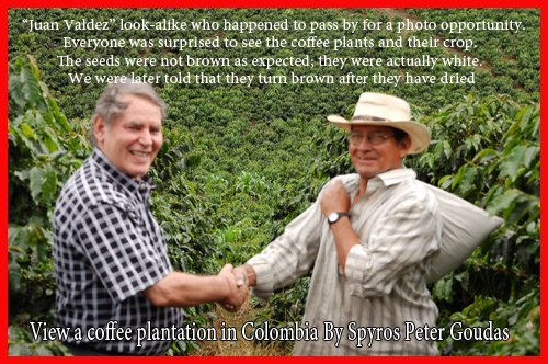 coffee plantation in Colombia By Spyros Peter Goudas