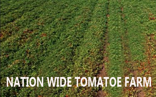 Nation Wide Canning Ltd. is committed to producing high quality canned foods, that meets customer requirements and government regulations.